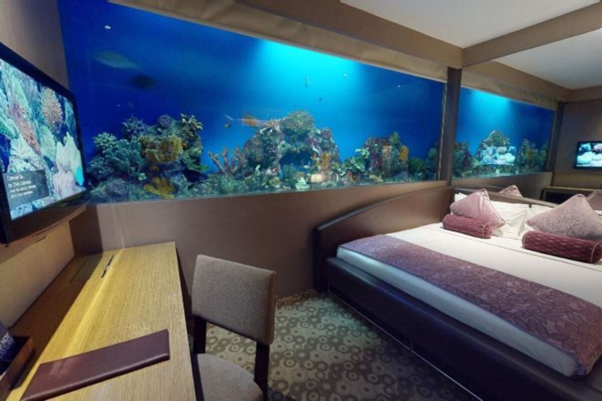 Habitación de hotel con cama, escritorio y una gran pared acuario.
