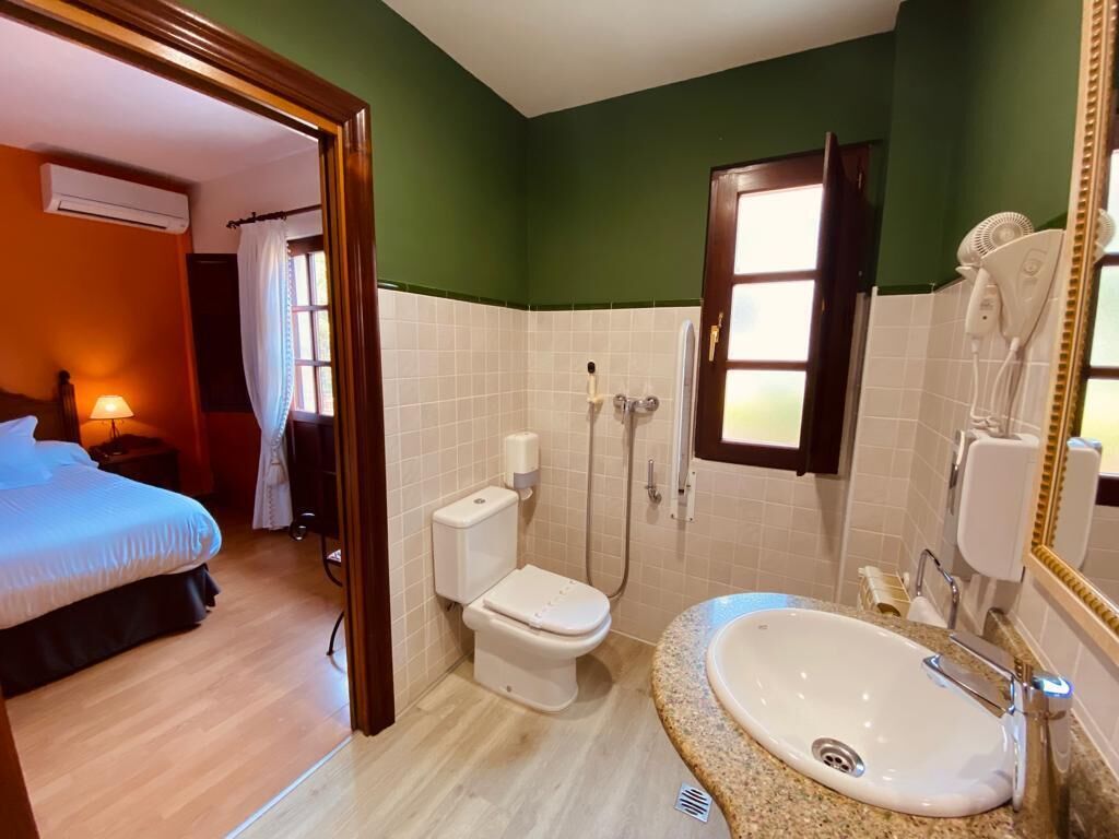A hotel room with a bed, a toilet, a sink, and a shower.