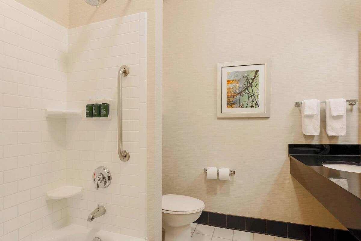 free toiletries, hair dryer, towels