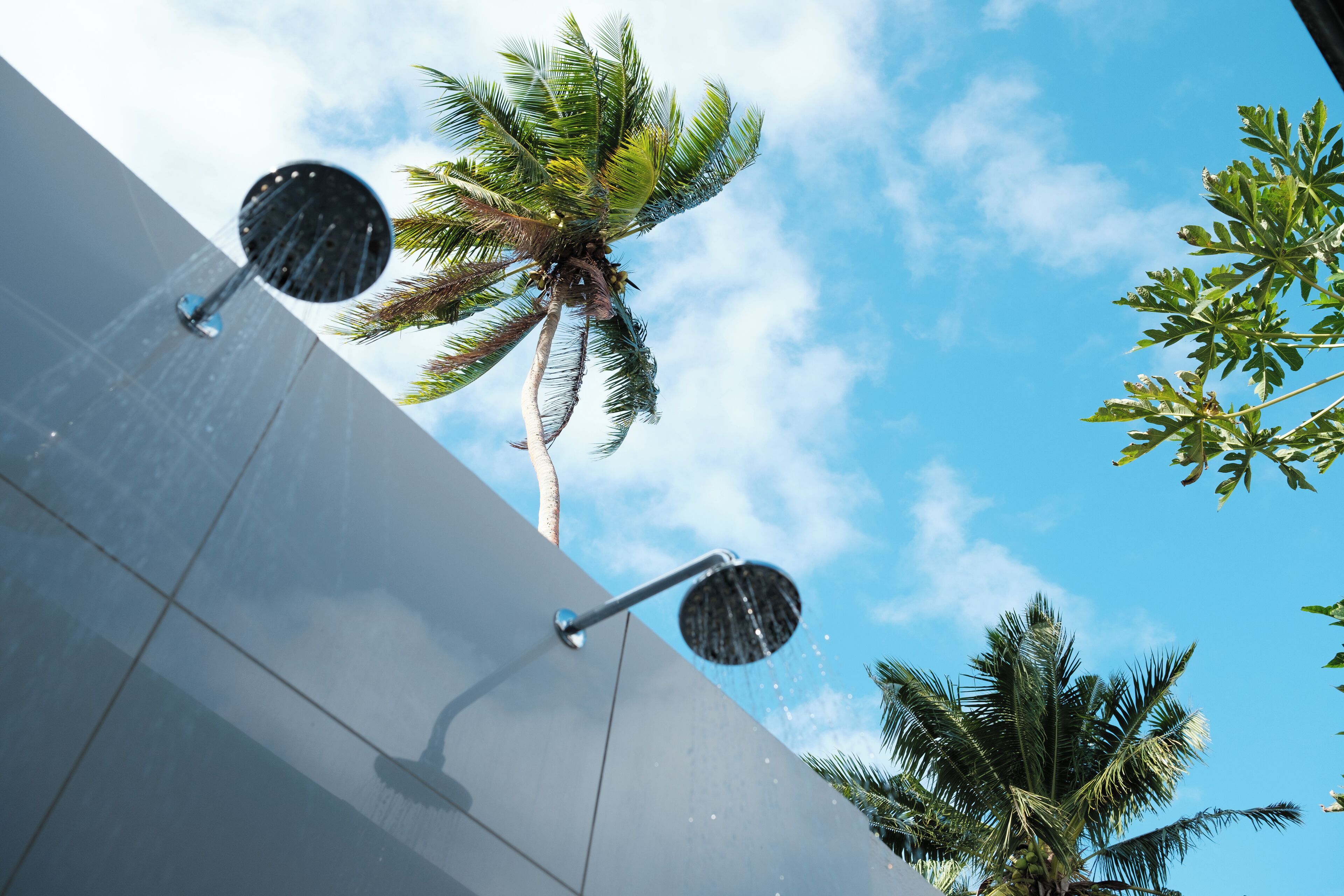 Un espace extérieur moderne agrémenté d’un élément aquatique, de palmiers et d’un ciel dégagé.