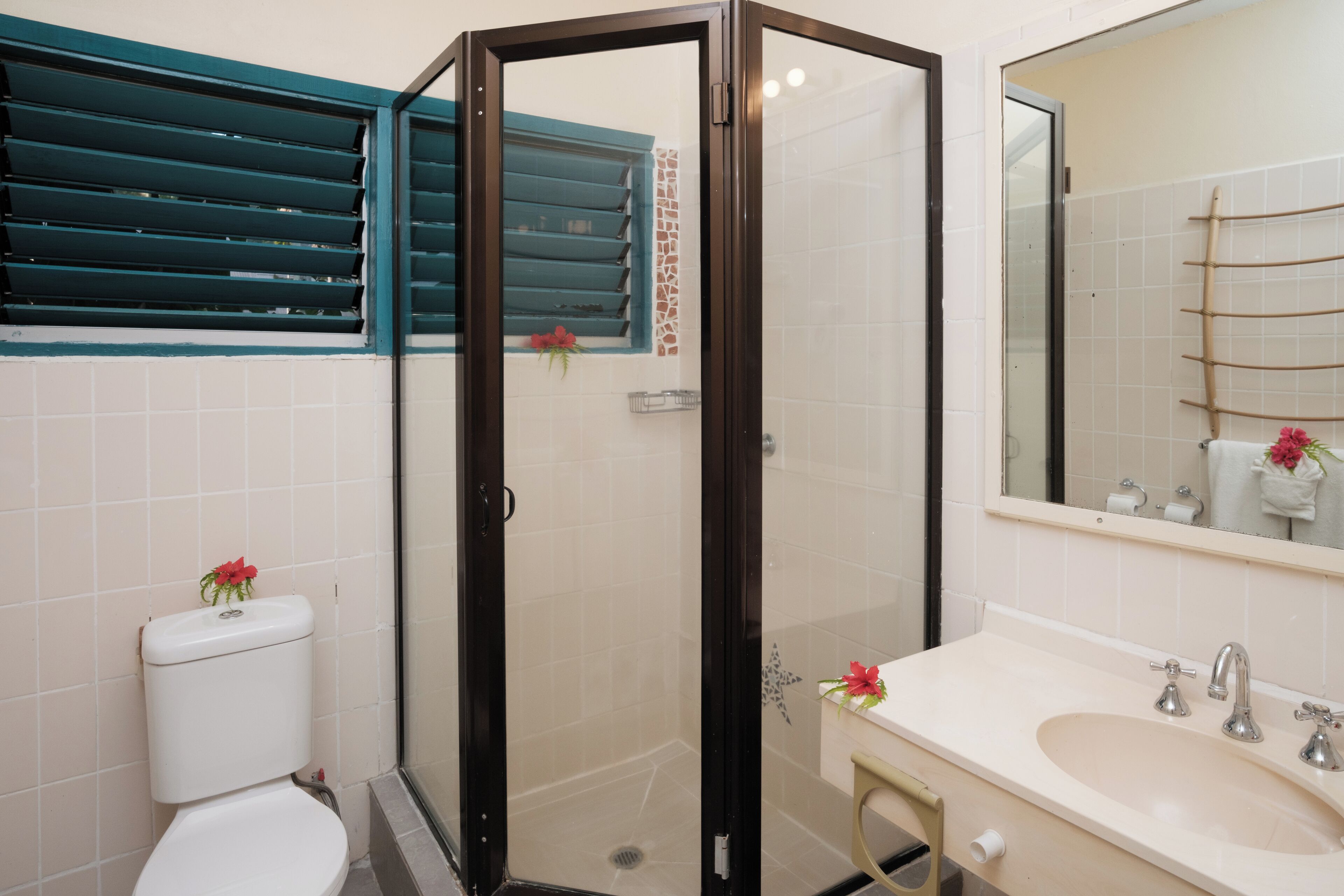 Un baño con ducha de vidrio, inodoro y lavabo con espejo.