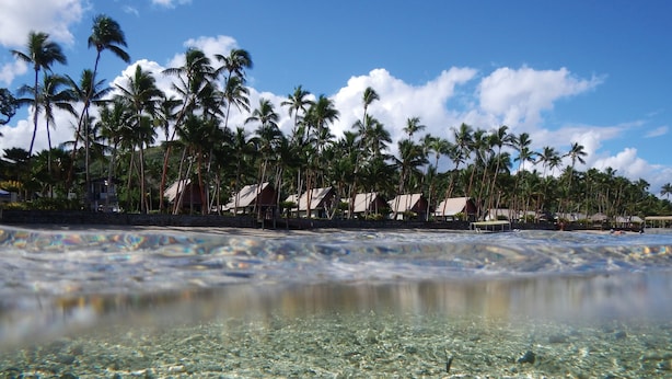 A beach with clear shallow waters, visible pebbles, and a row of palm trees. - Fiji Hideaway Resort and Spa (Korolevu)