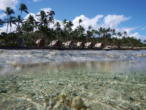 Una playa con aguas claras y poco profundas, piedras visibles y una fila de palmeras.