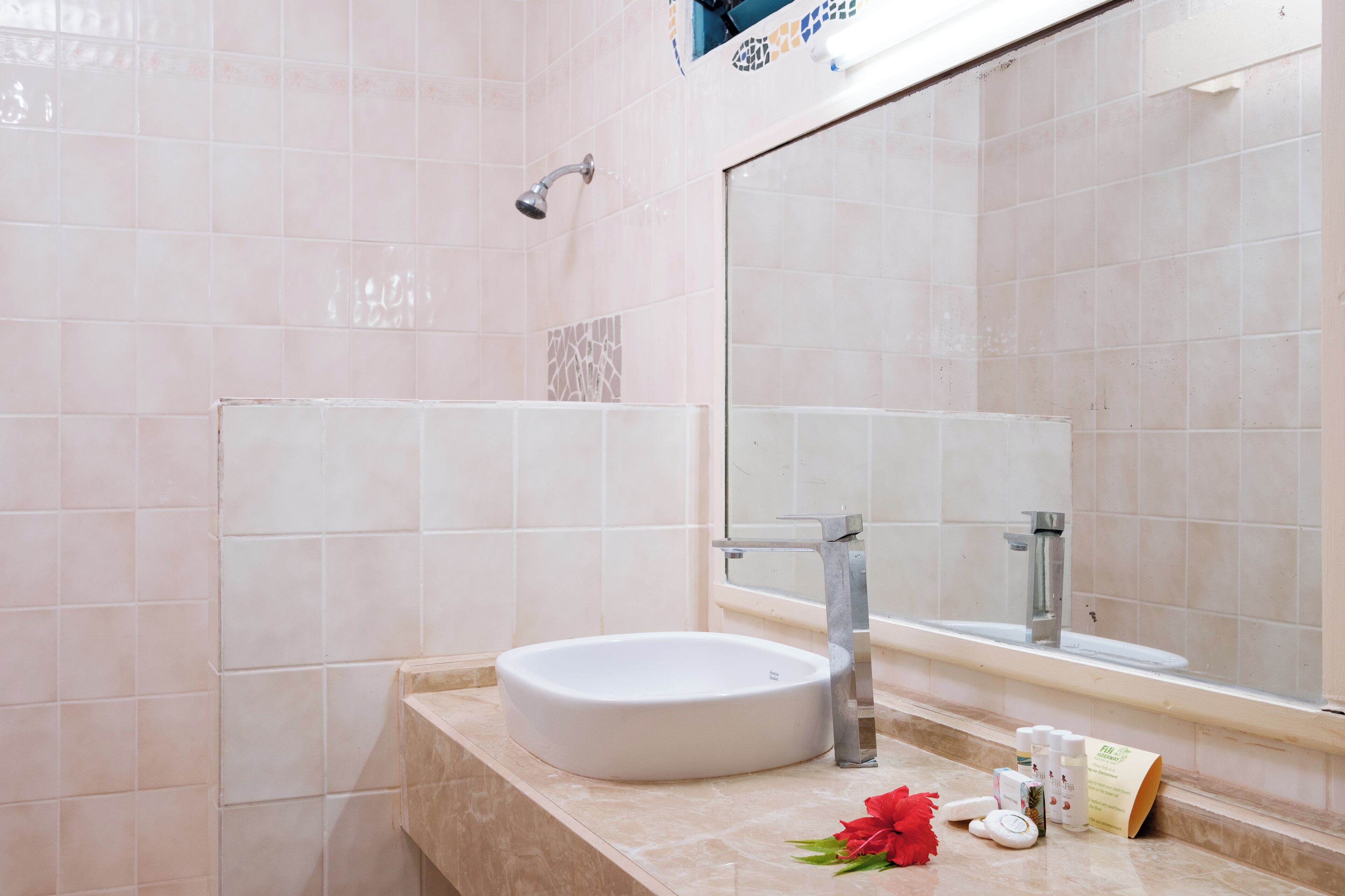 A bathroom with a round sink, a mirror, and a shower.