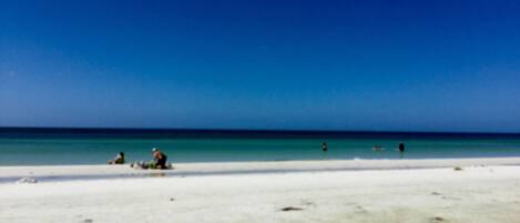 Surfing/boogie boarding