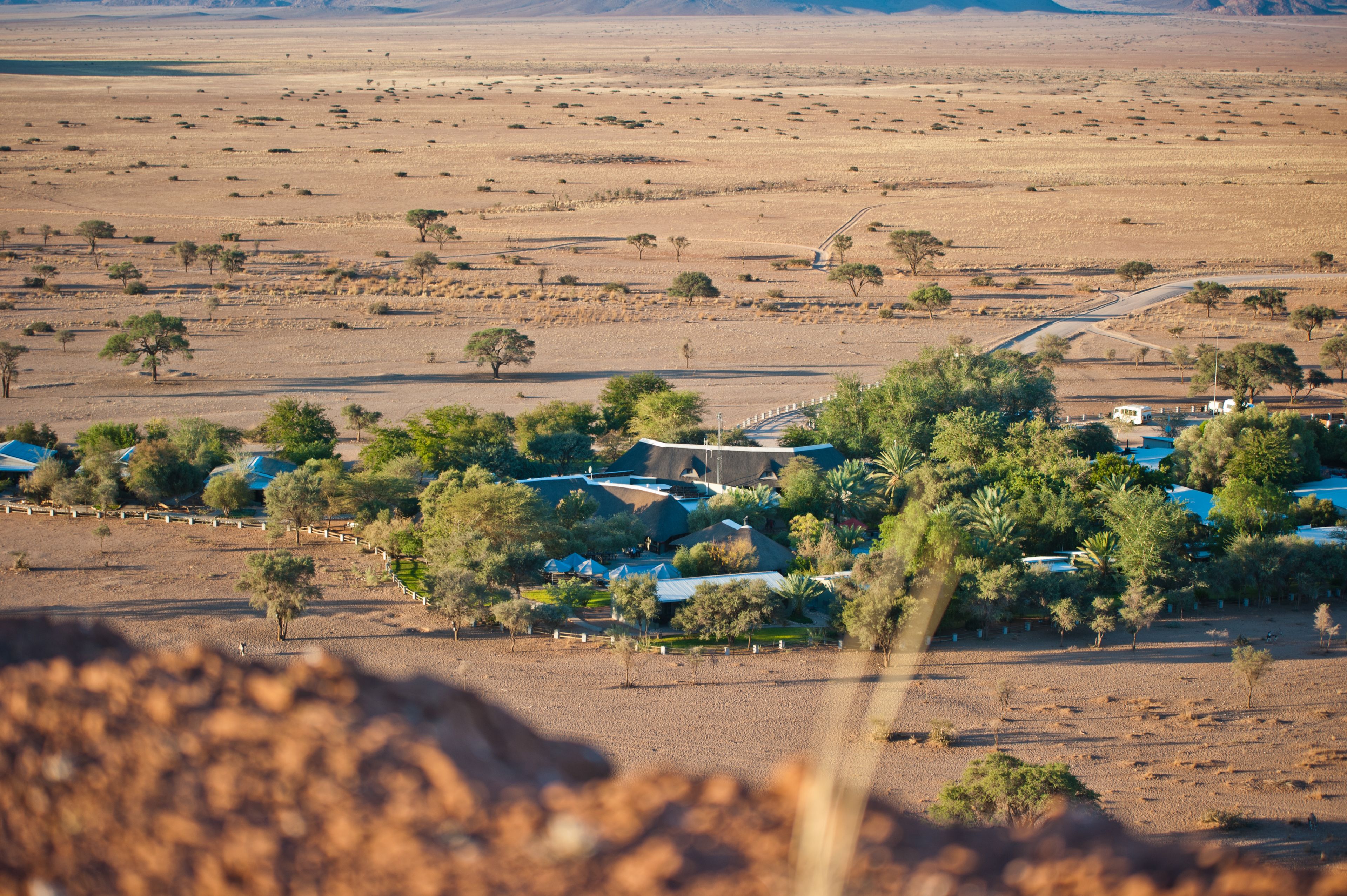 A rural area with scattered trees and a few buildings with blue roofs.