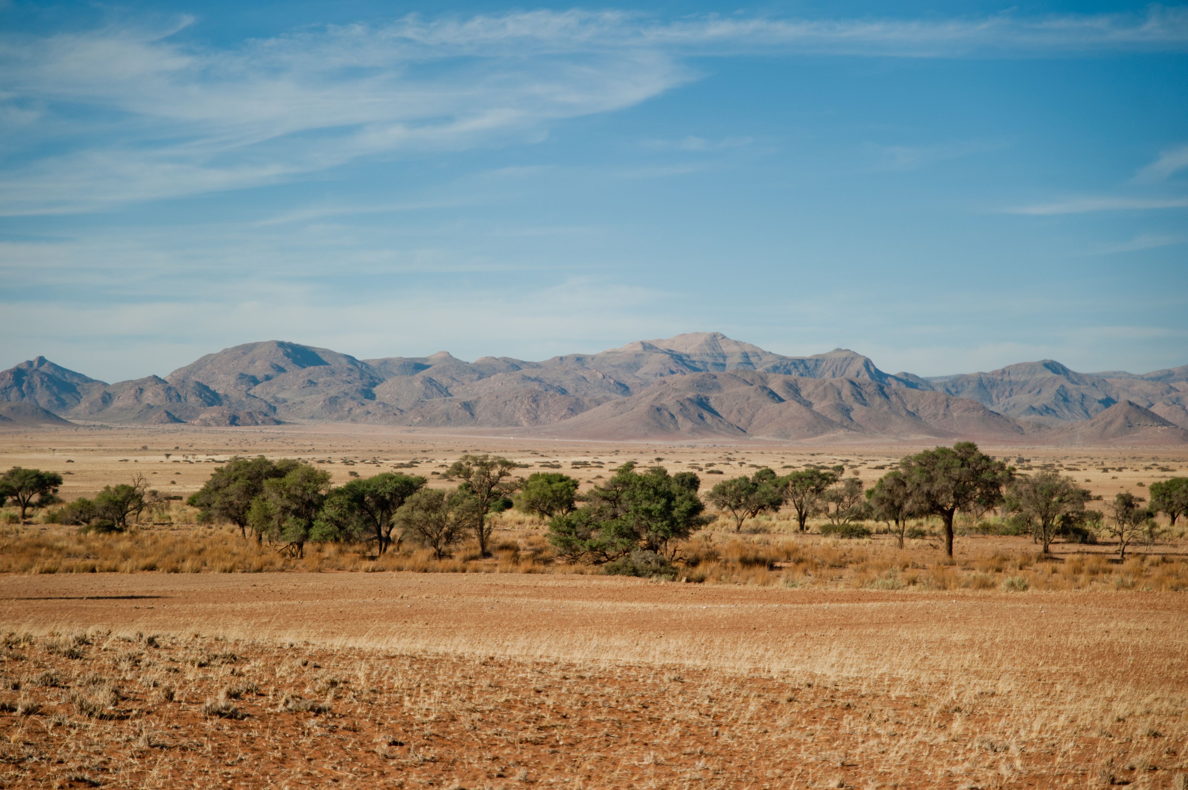 Paisaje desértico con montañas al fondo y vegetación escasa en primer plano.