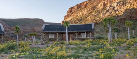 A rustic building with a stone facade, surrounded by a garden with yellow flowers, and a rocky hill in the background.