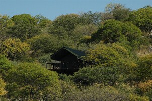 Una cabaña de madera rodeada de un bosque denso.