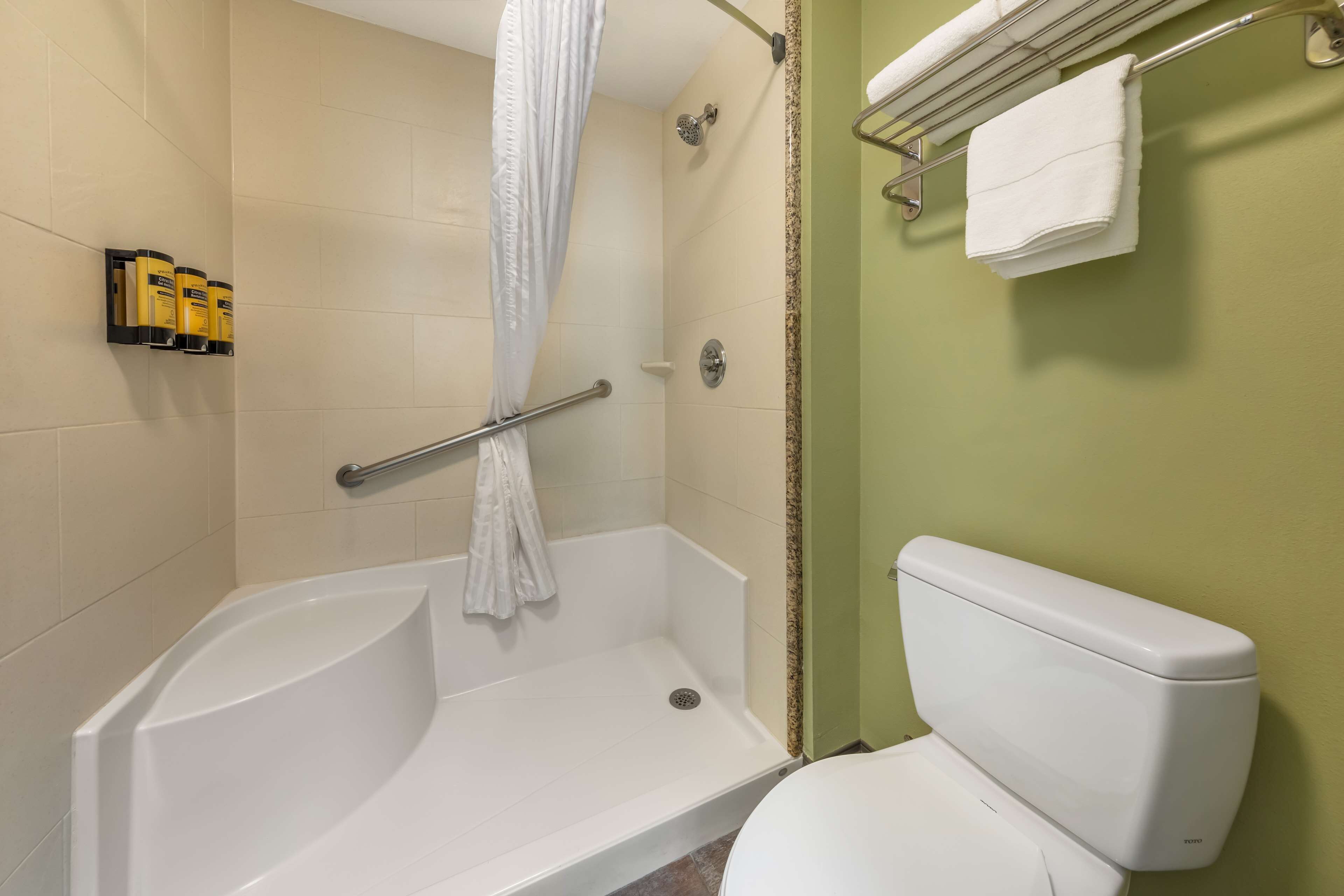 A bathroom with a shower, toilet, and towel rack.