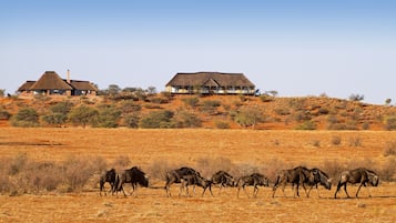 Un lodge de safari avec des bâtiments à toits de chaume, situé sur une colline, entouré de prairies arides et d’une faune abondante.
