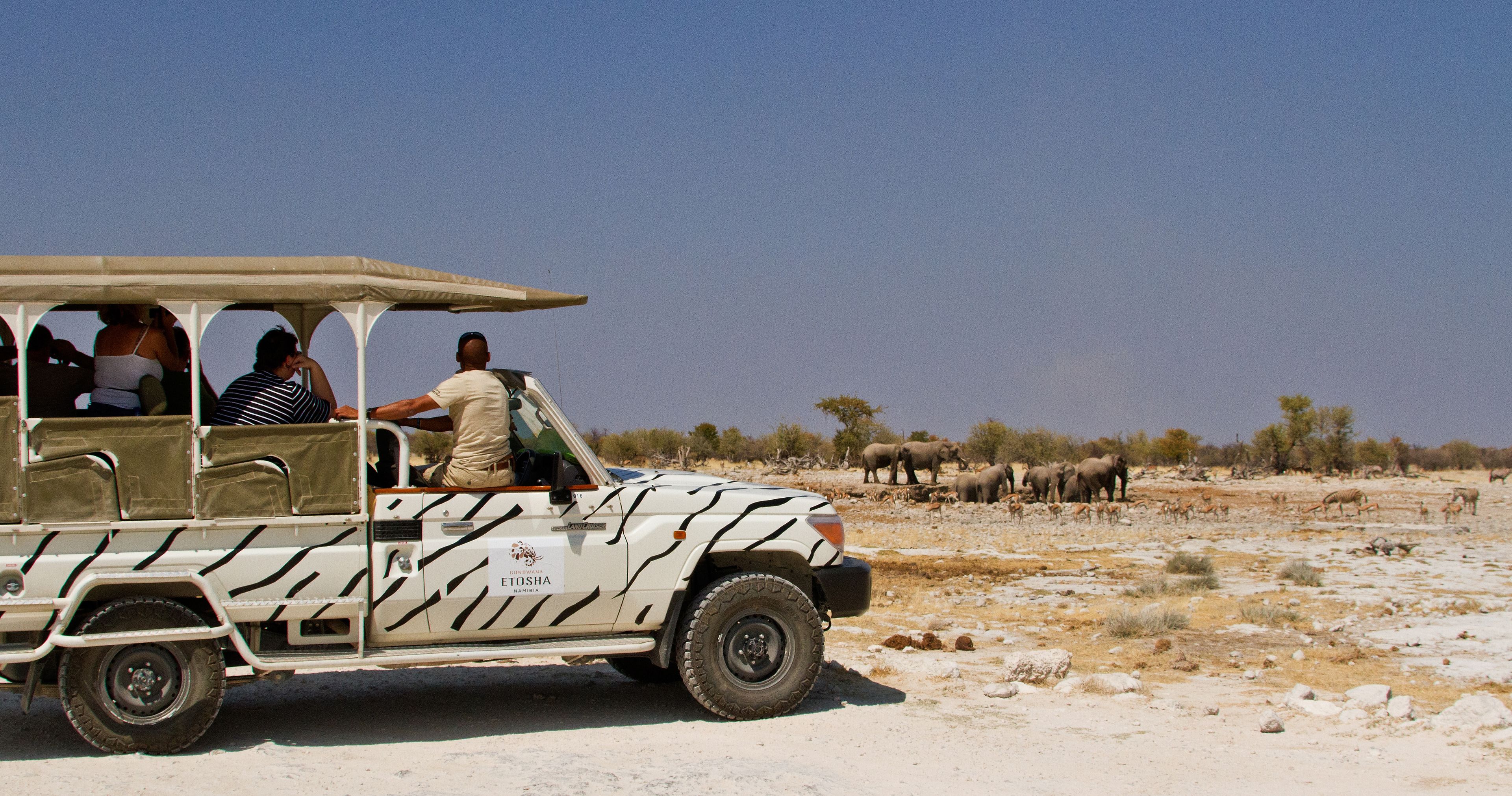 Vehículo safari con pasajeros observando fauna en un paisaje árido y abierto.