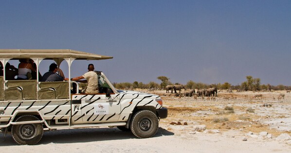 Safari - Etosha Safari Lodge (Okaukuejo)