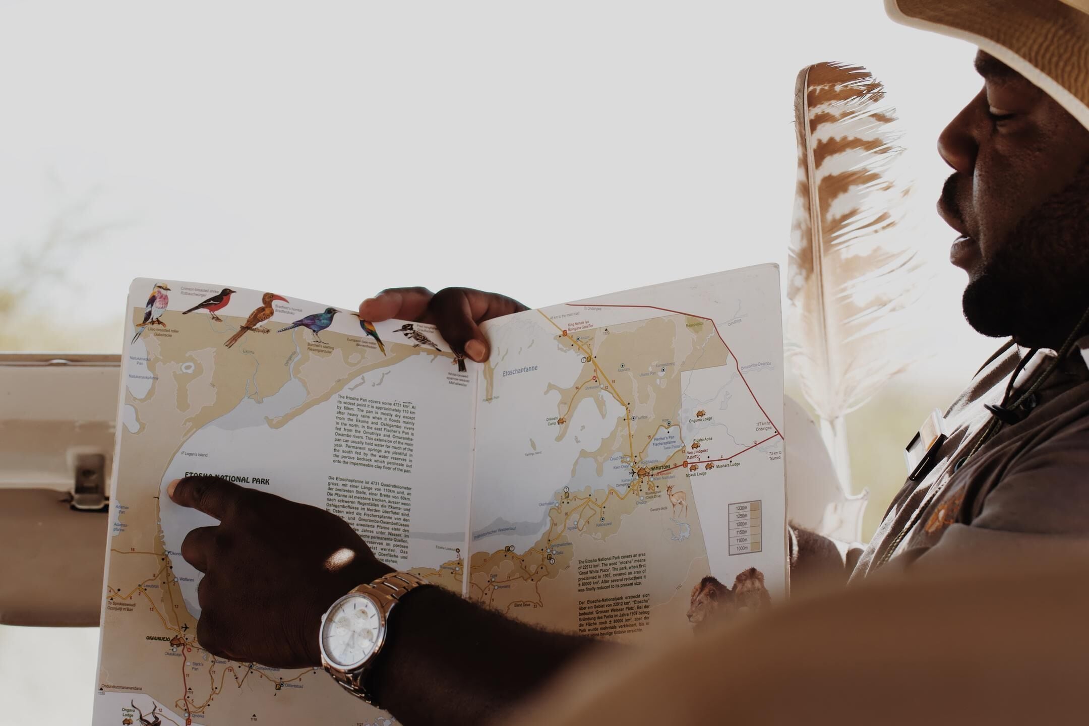A person holding a map with a watch on their wrist.