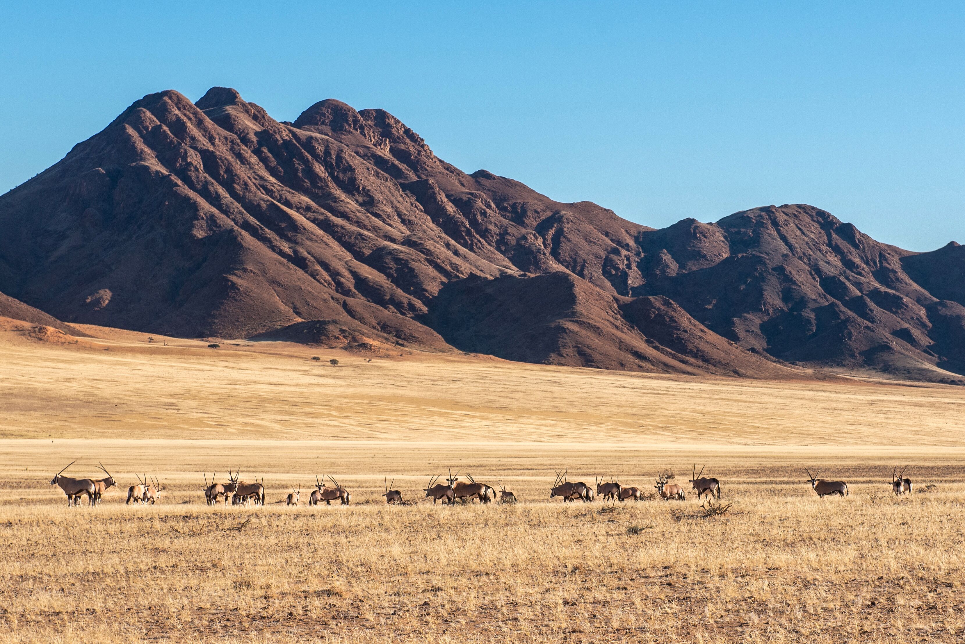 land view from property
