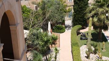Un patio con un camino empedrado, cactus, palmeras y un edificio de piedra al fondo.