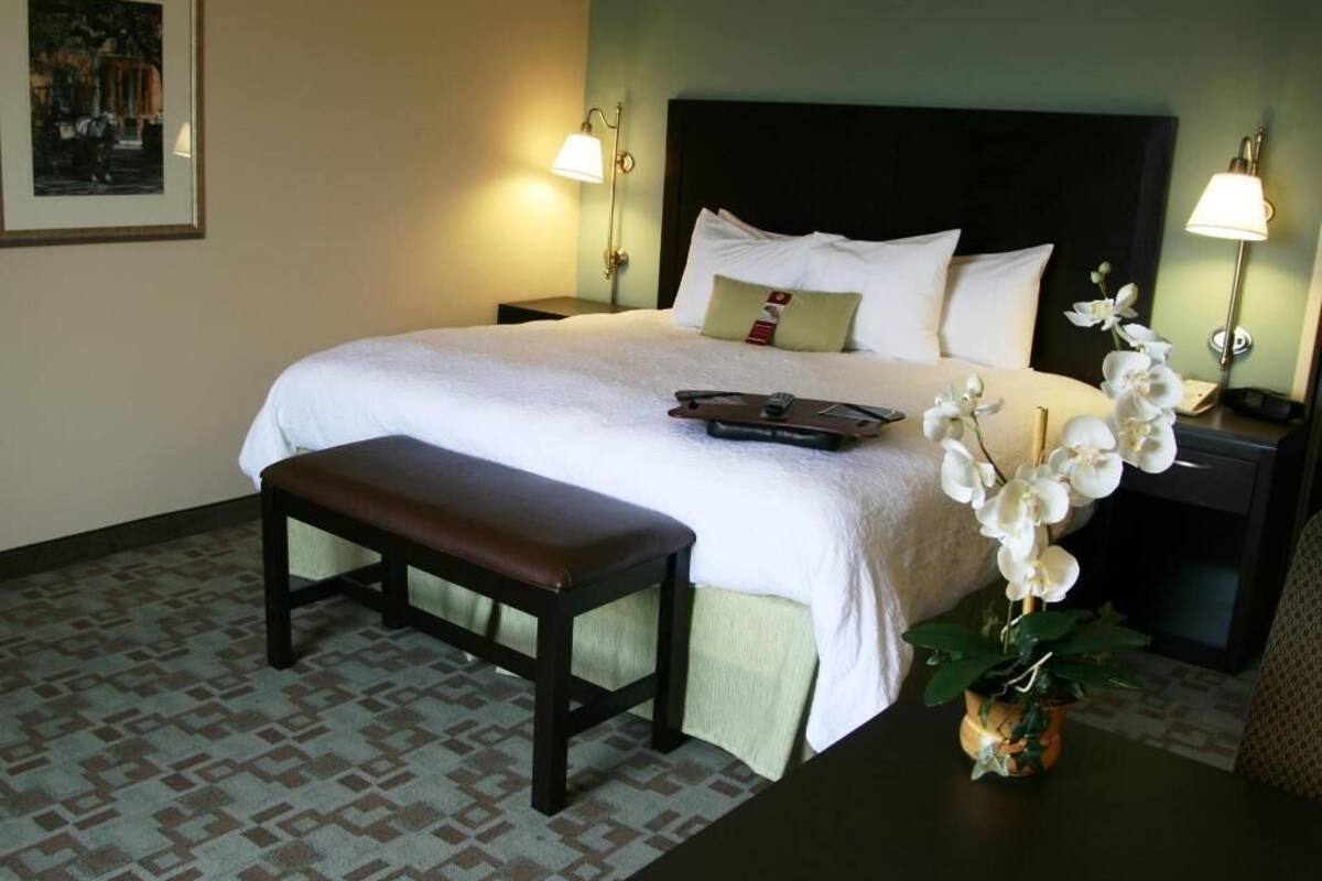 A hotel room with a bed, bedside lamps, a bench, a nightstand, and a potted orchid.