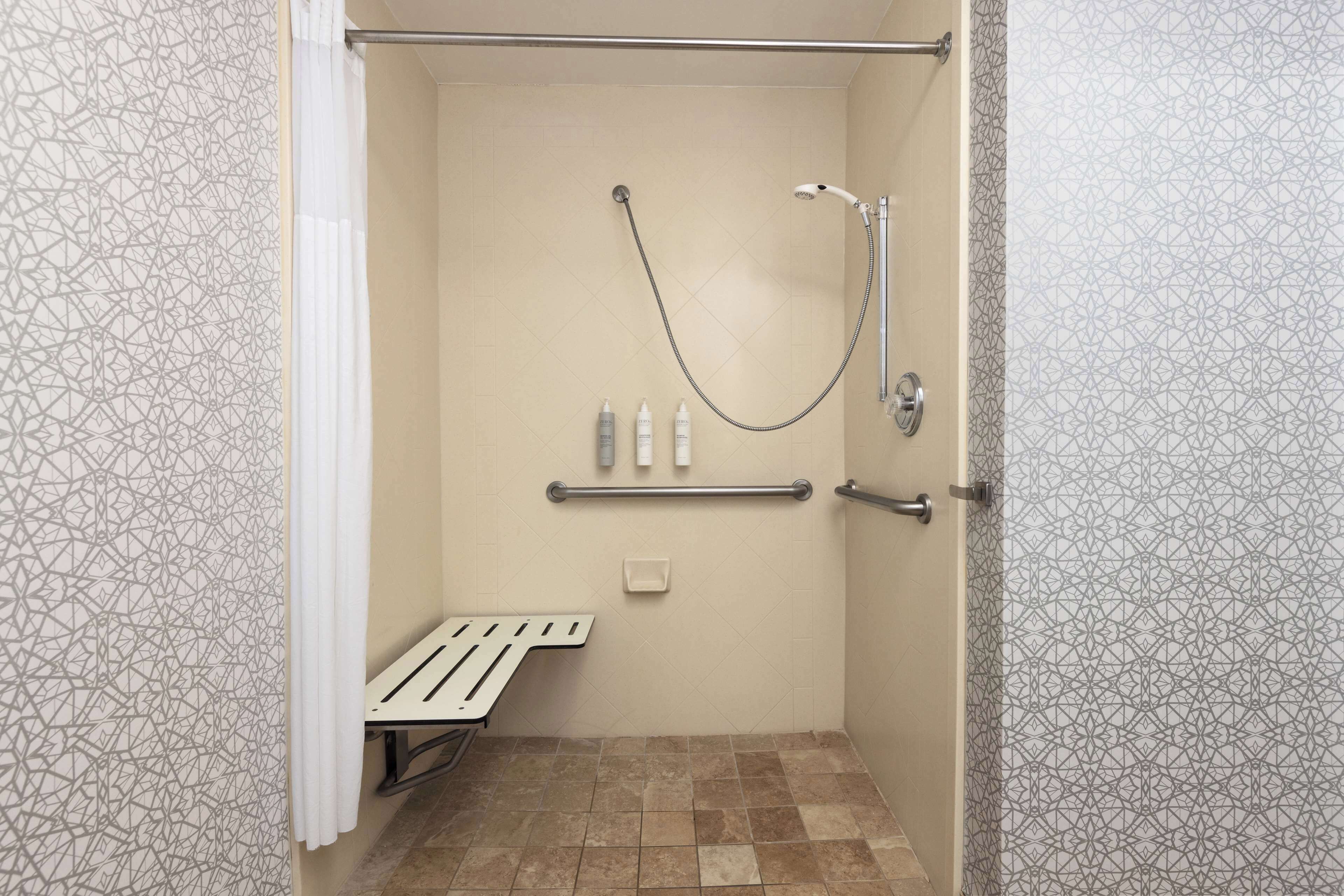 room, 1 king bed, accessible, non smoking | bathroom shower