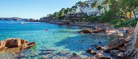 Plage, plongée sous-marine, navigation en bateau à moteur
