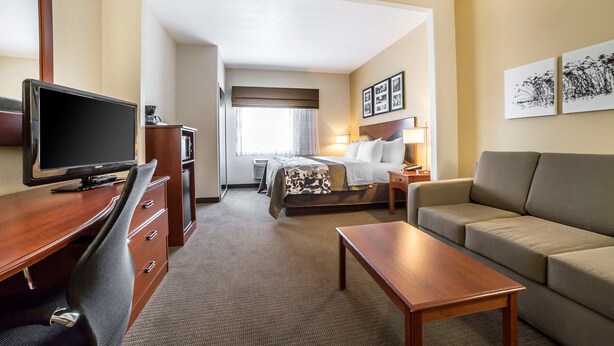 Una habitación de hotel con una cama, un escritorio con televisor, un sofá y una mesa de centro.