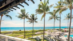 A resort with a pool area, palm trees, and a view of the ocean.