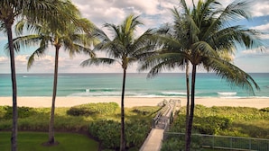 A beach with palm trees, a pathway leading to the beach, and the ocean in the background.