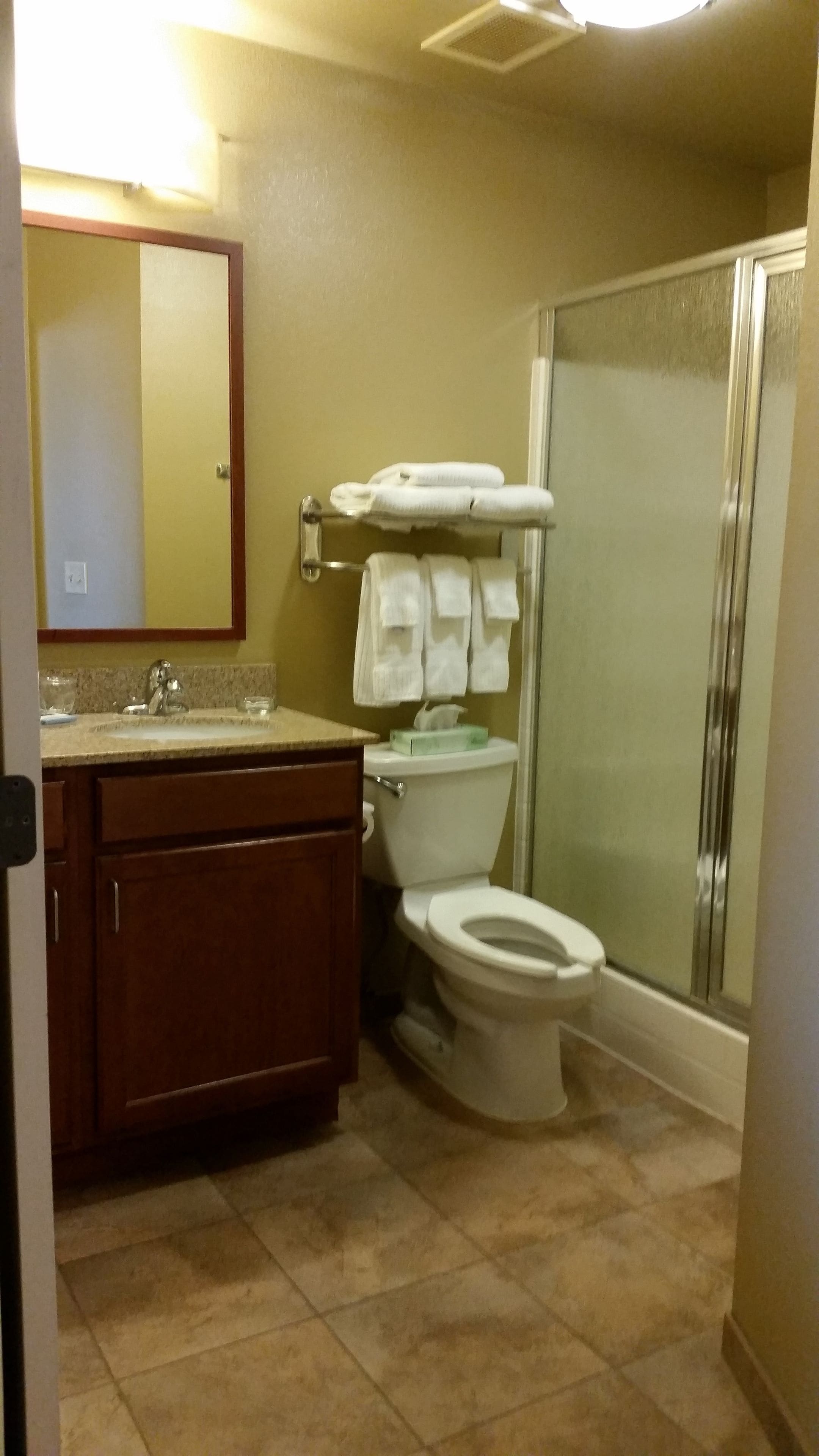 A bathroom with a toilet, sink, and shower.