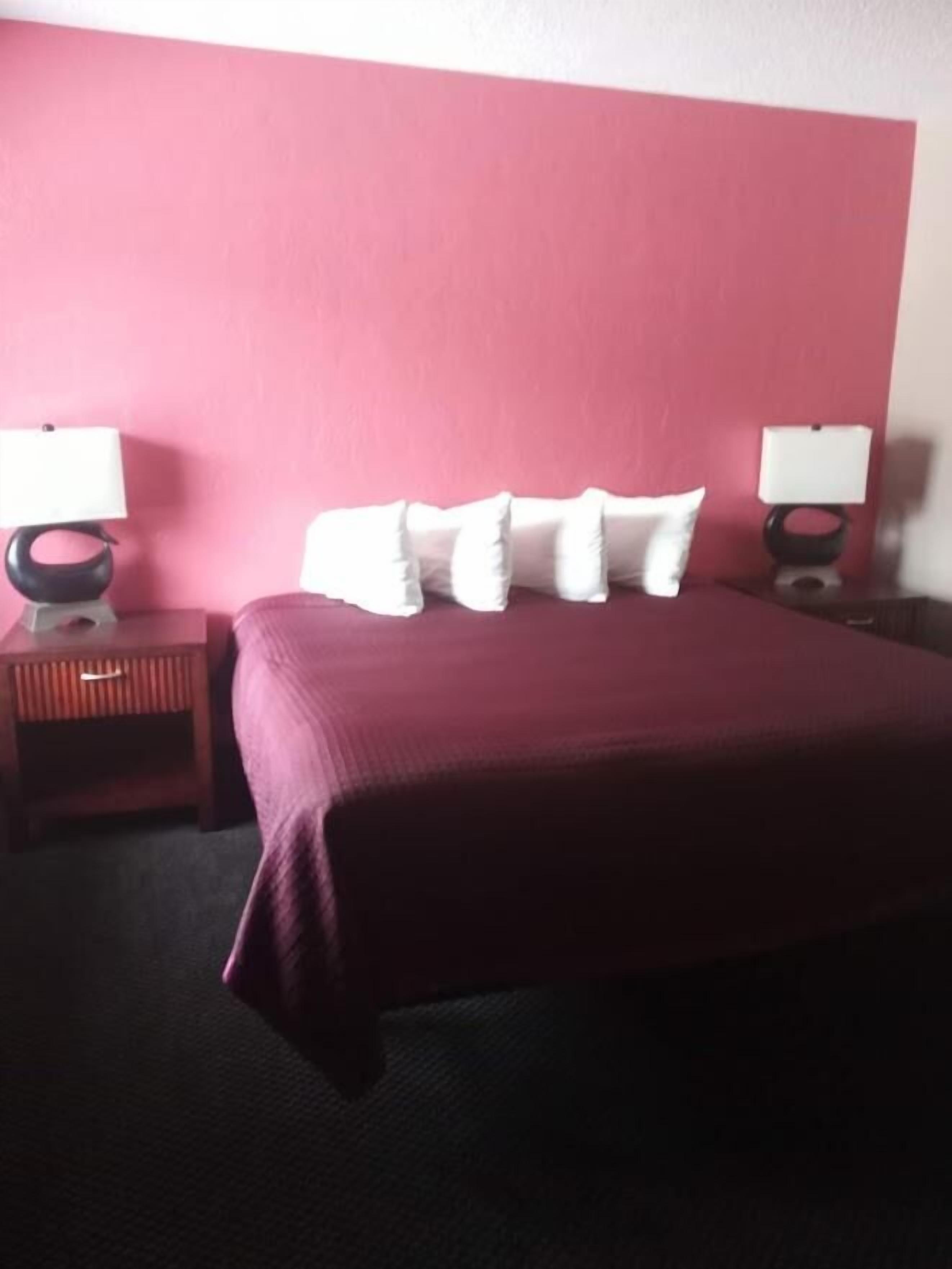 Photo - Budget Inn - St. Petersburg