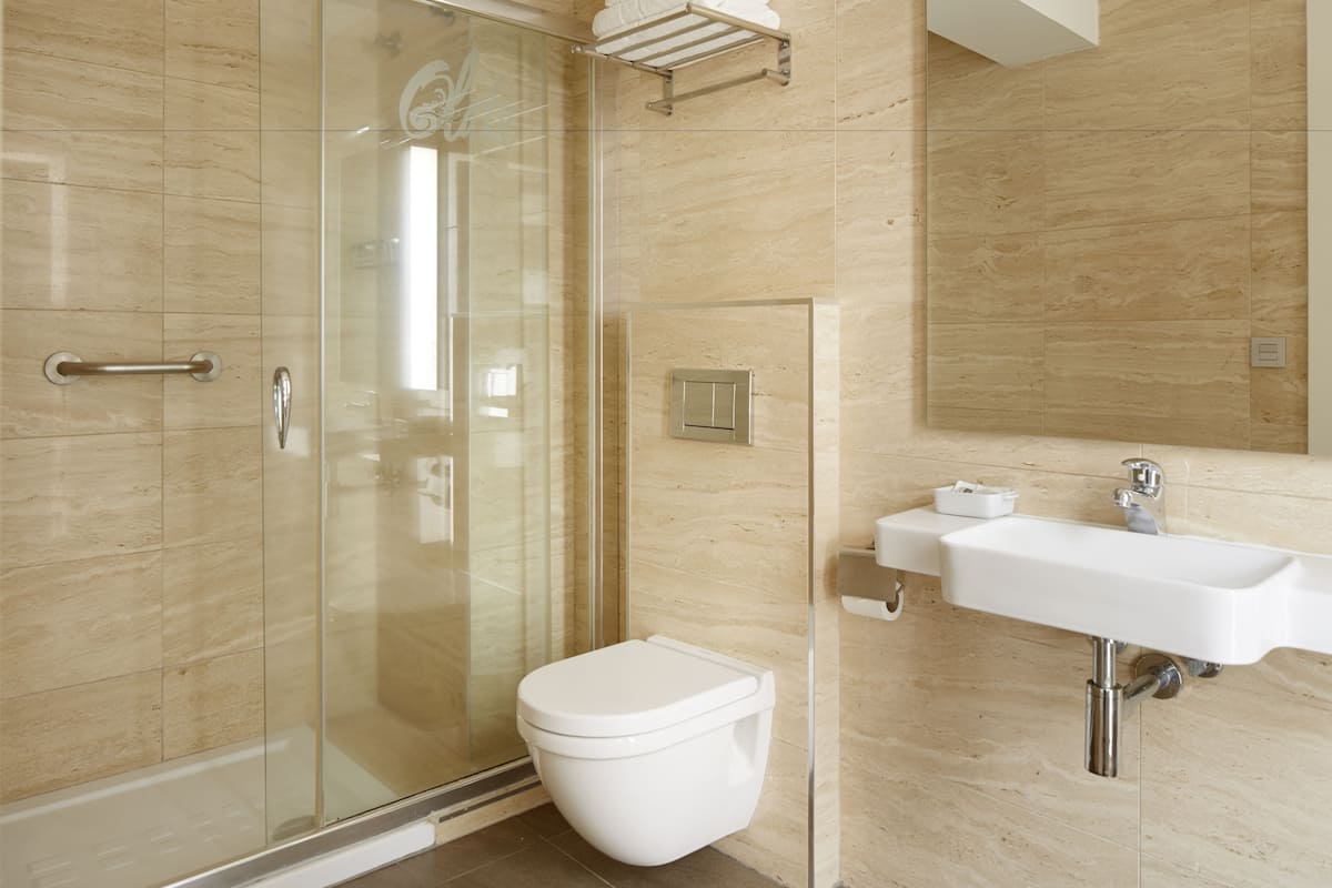 shower, free toiletries, hair dryer, towels