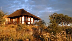 A thatched-roof building with large windows, surrounded by tall grass and trees.