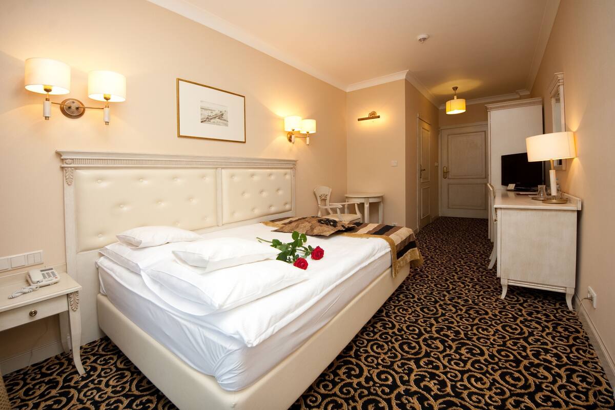 A hotel room with a large bed, bedside table with a phone, a desk with a chair, a television, and a patterned carpet.