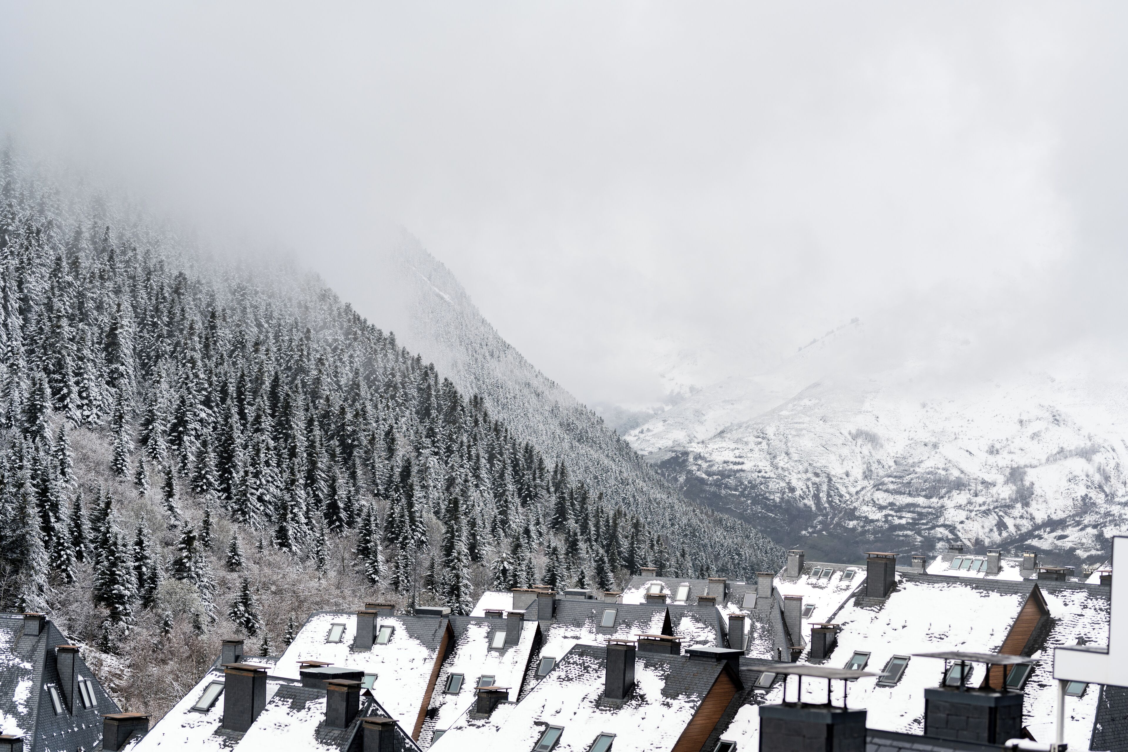 A residential area with snow-covered roofs and a forested mountain backdrop.