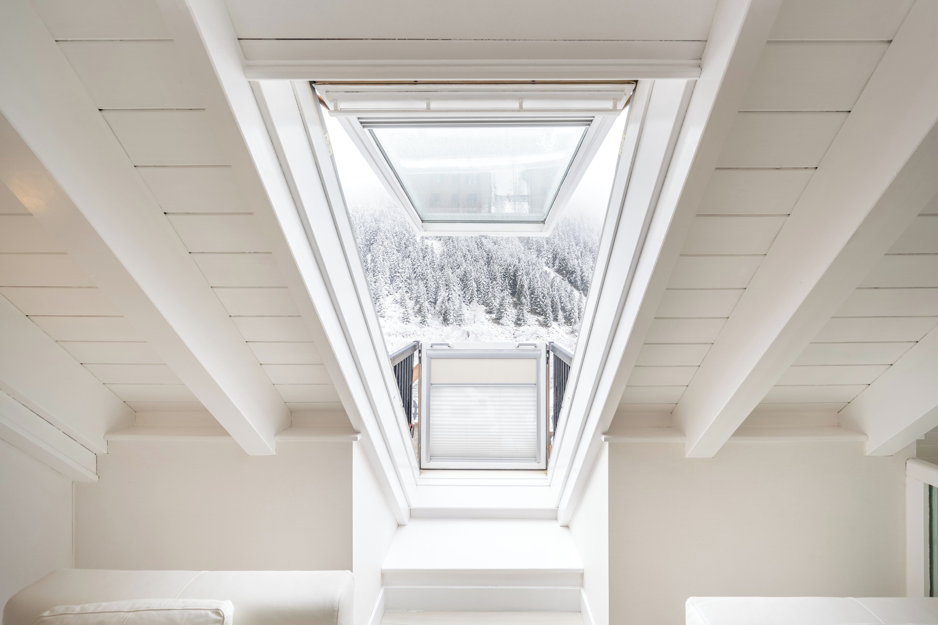 royal suite, 2 adults and 1 child | view from room