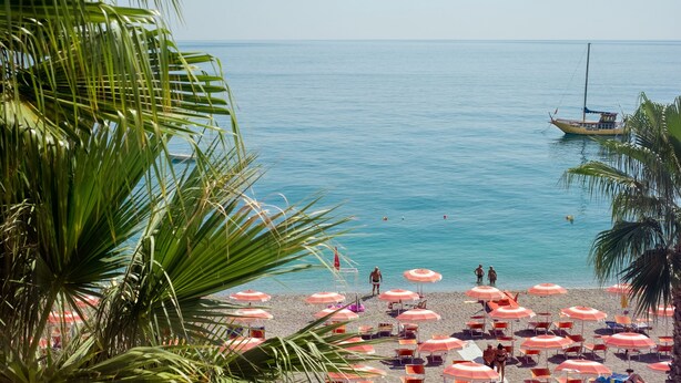 A beach with palm trees, a boat, and umbrellas.