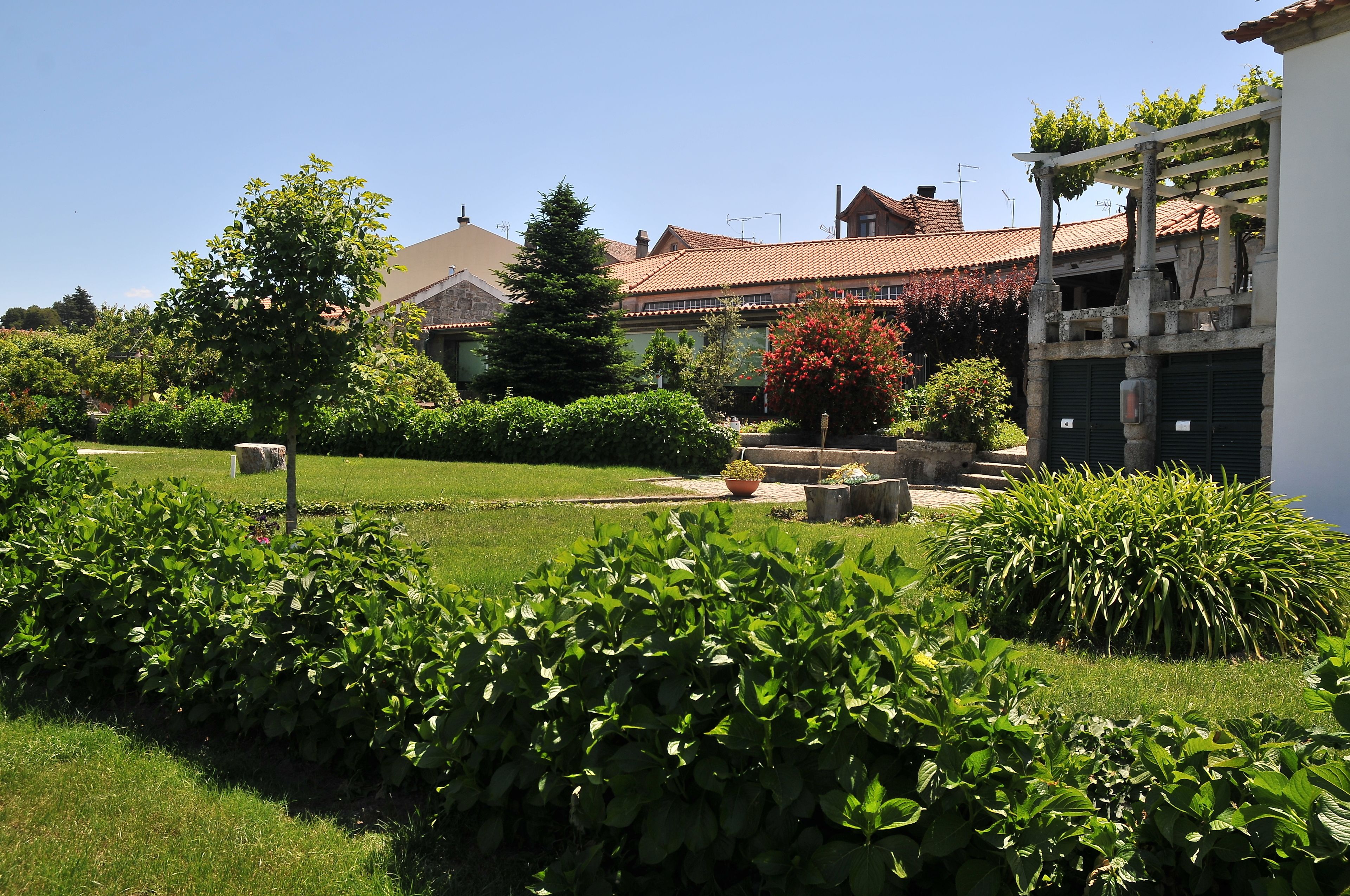 Un jardin bien entretenu, avec une grande variété de plantes et un mur en pierre.