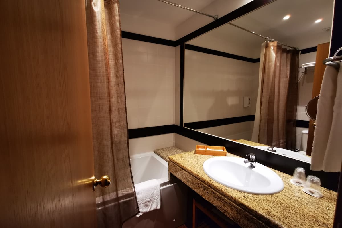 bathtub, free toiletries, hair dryer, bidet