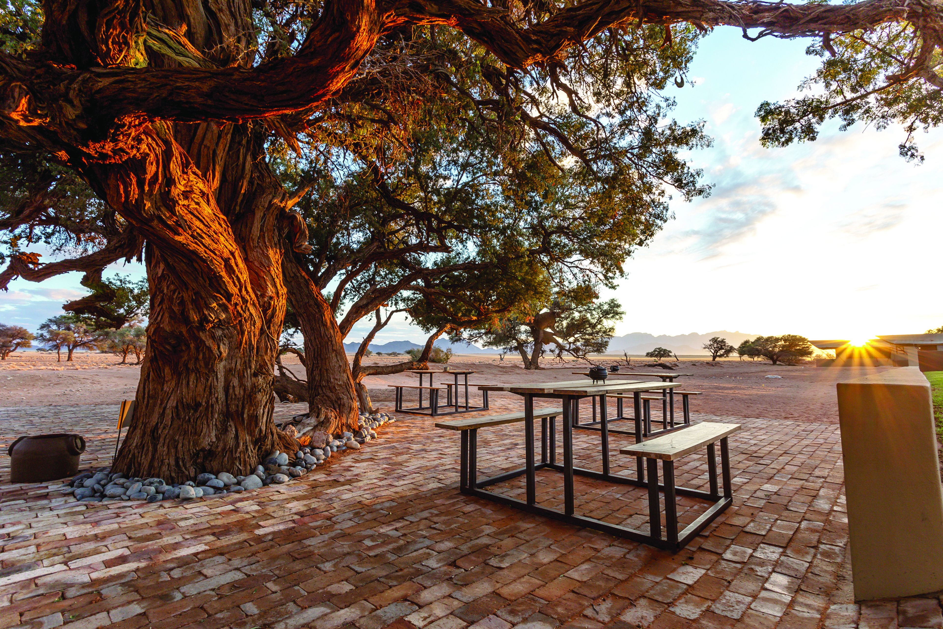 Terrasse/patio