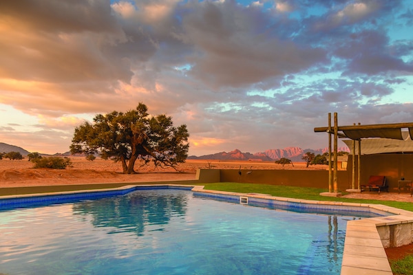 Outdoor pool, pool umbrellas, pool loungers