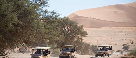 Three off-road vehicles on a sandy terrain with sparse vegetation and sand dunes in the background.