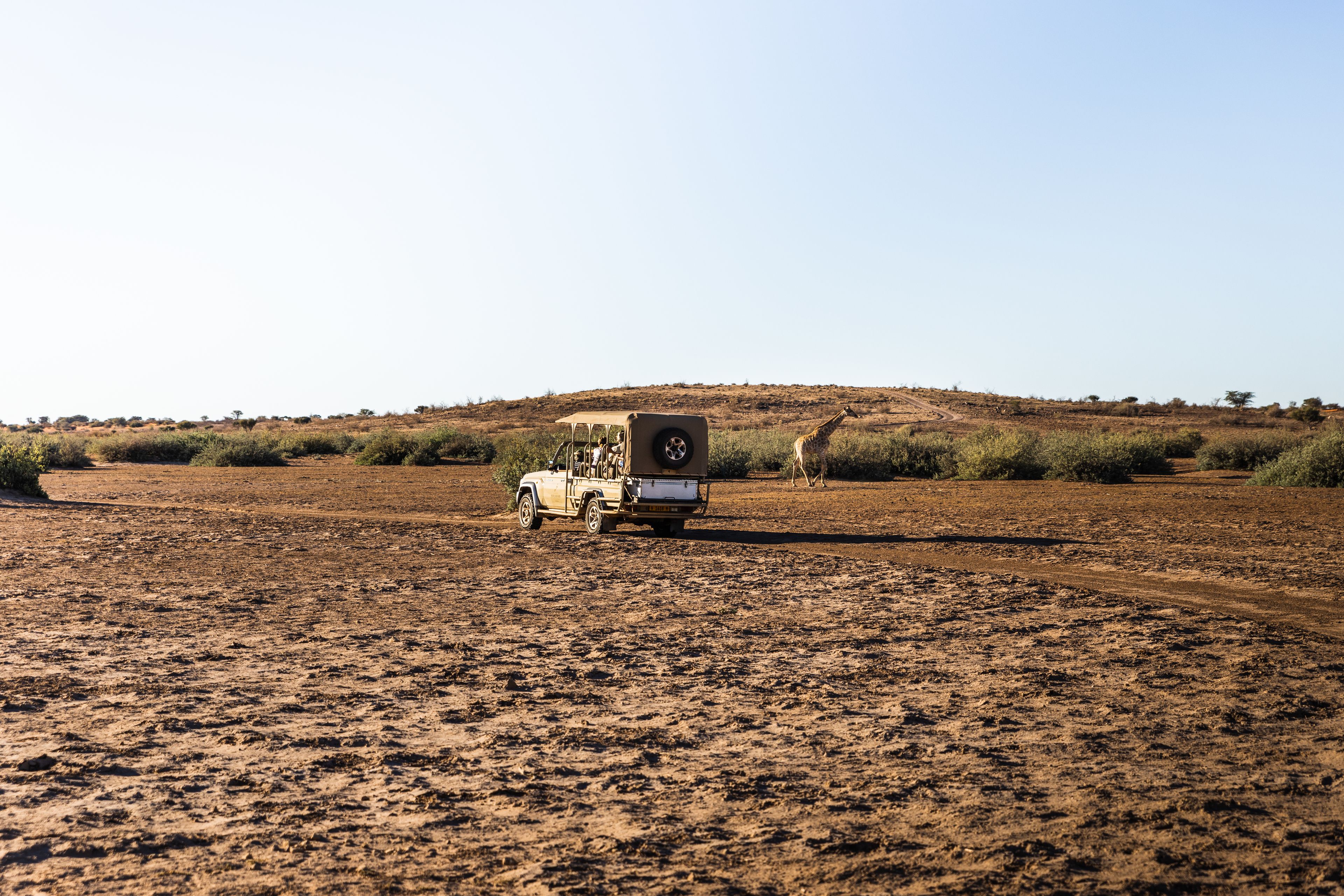 Un vehículo safari con una cámara grande en la parte trasera, estacionado en un camino de tierra en un paisaje de sabana.