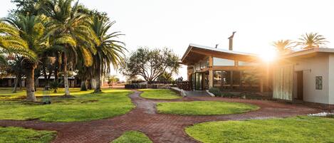 A modern building with a brick pathway and palm trees.