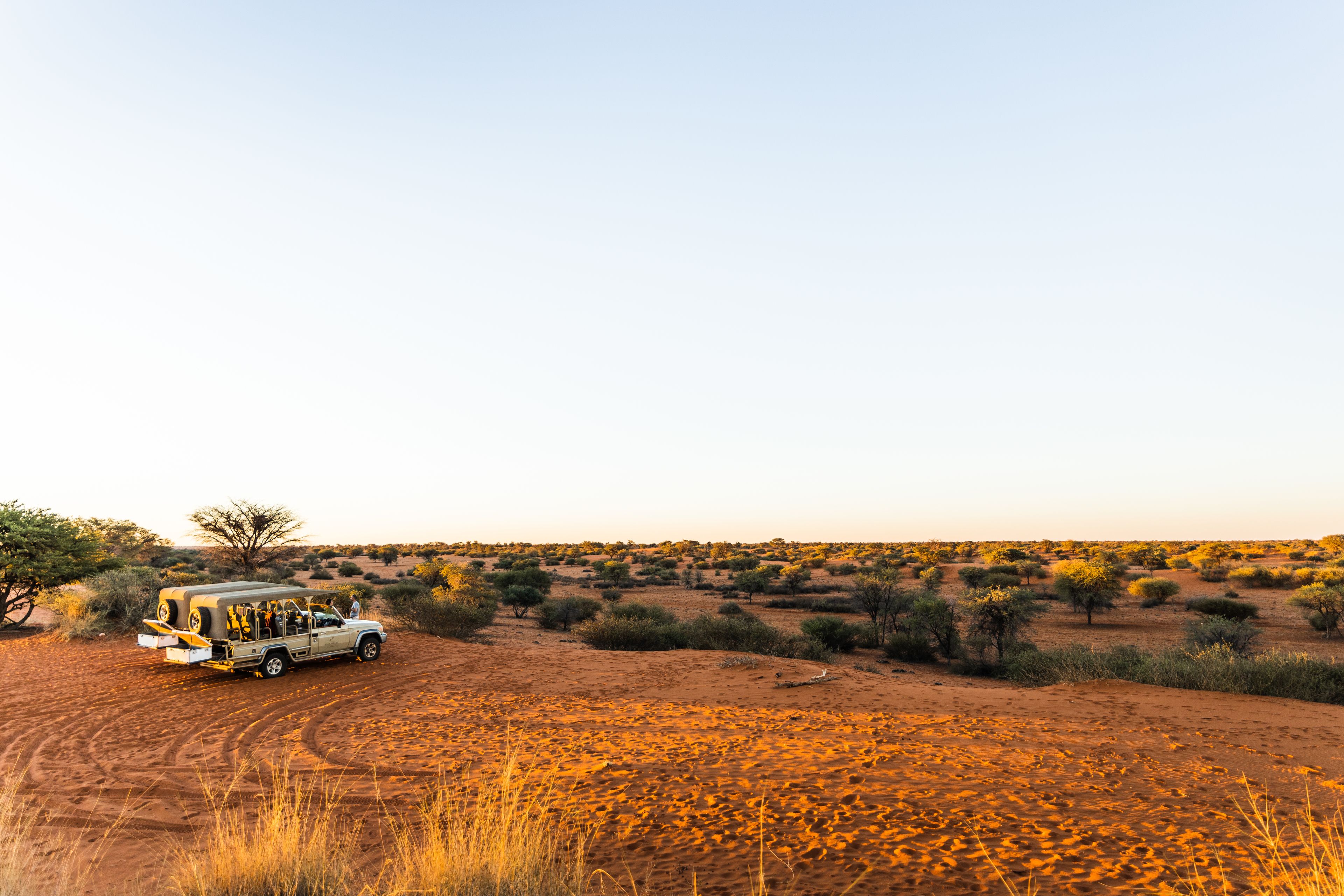 Un vehículo safari con pasajeros en un camino de tierra en un paisaje desértico.