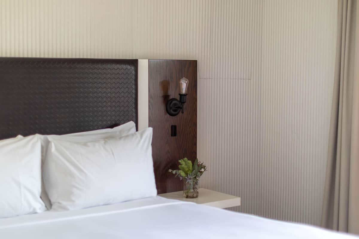 Room, 1 King Bed