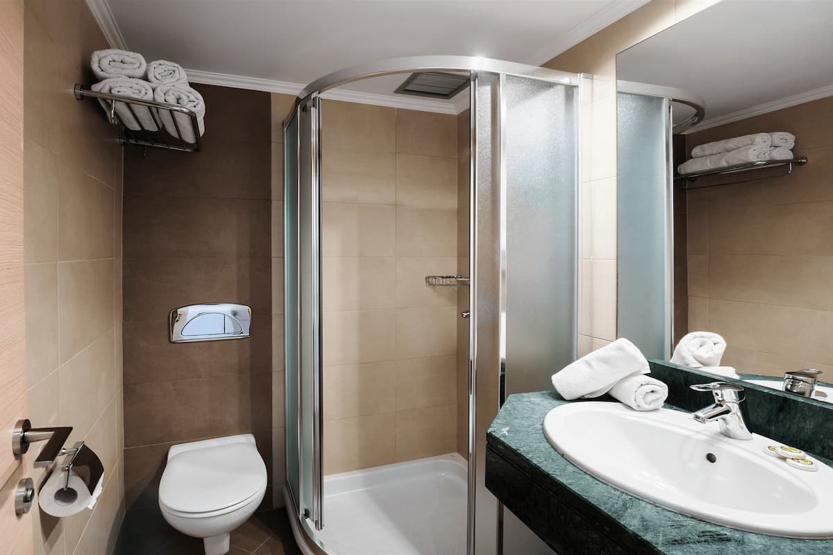 shower, free toiletries, hair dryer, towels