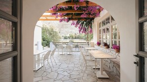 Mediterranean cuisine