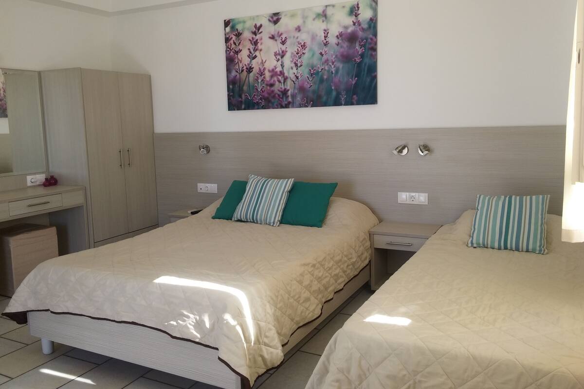 Un dormitorio con dos camas, un aparador, un espejo y un cuadro en la pared.
