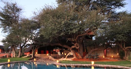 Camelthorn Kalahari Lodge