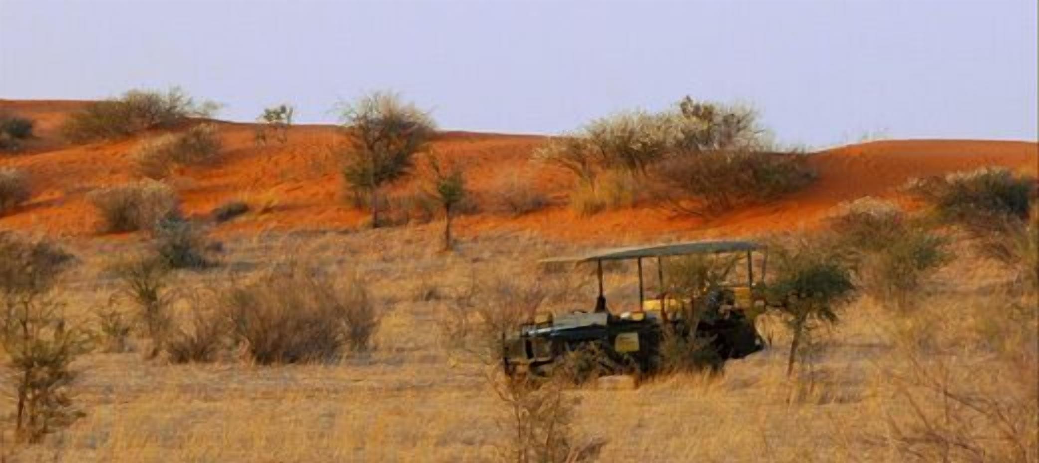 A vehicle in a dry, open landscape with sparse vegetation and red soil.