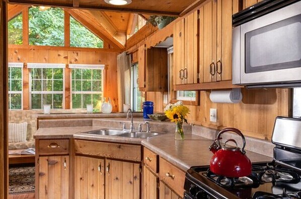Une cuisine rustique aménagée dans une cabane en bois, avec un poêle, un évier et des placards.