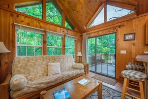 Cabin, Private Bathroom (Balsam Mountains Cabin- No Breakfast, No Pets) | 起居区 | 平板电视